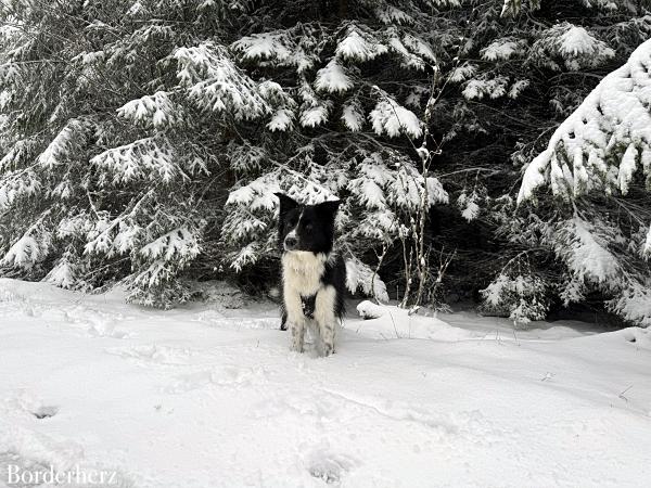 Winterwanderwege im Sauerland