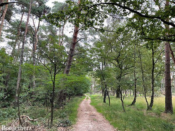 Deutschlands schönster Wanderweg Galgenvenn