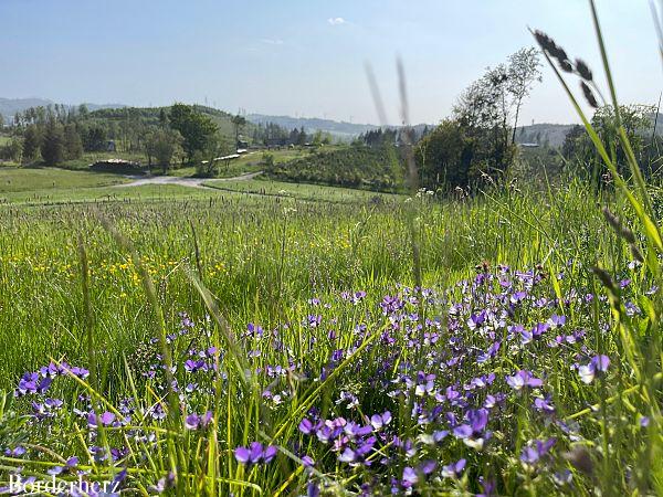 Deutschlands schönster Wanderweg Via Adrina