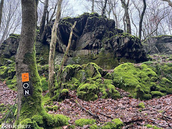 wandern im bergischen land mit hund