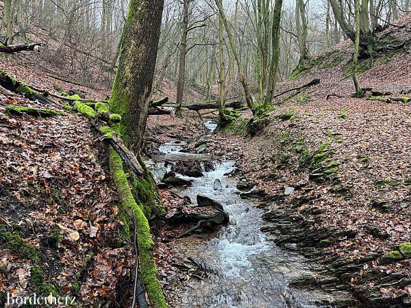 wandern im bergischen land mit hund