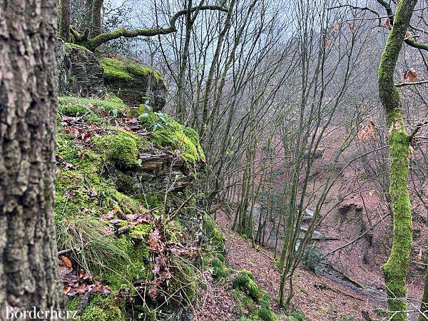 wandern im bergischen land mit hund