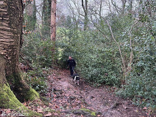 wandern im bergischen land mit hund