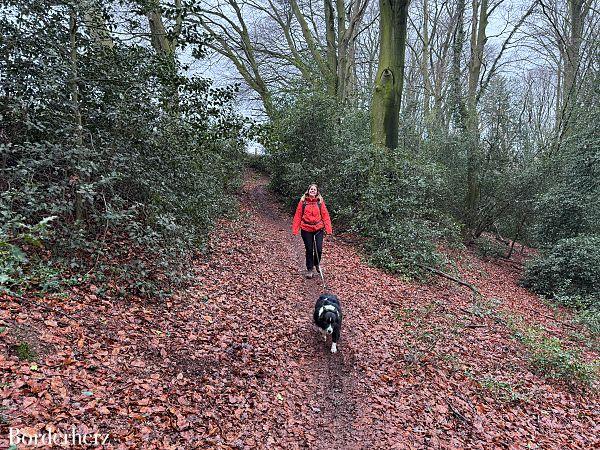 wandern im bergischen land mit hund