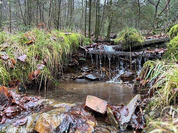 wandern im bergischen land mit hund