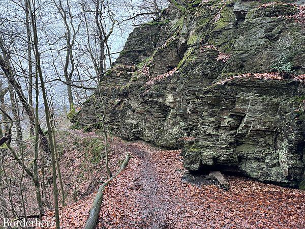 wandern im bergischen land mit hund