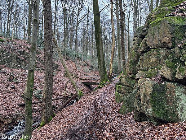 wandern im bergischen land mit hund