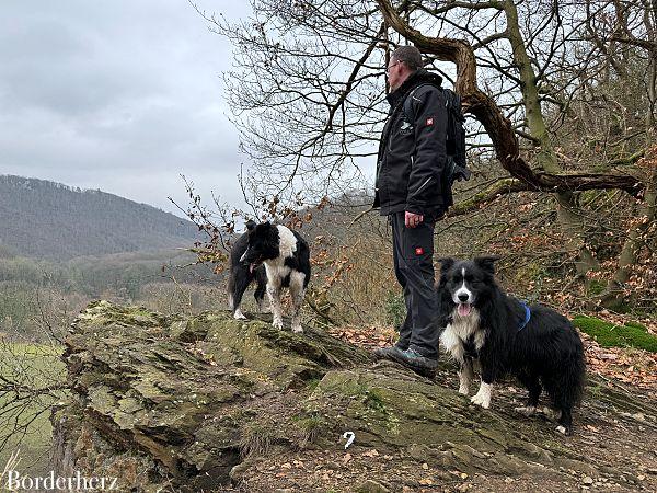 wandern im bergischen land mit hund