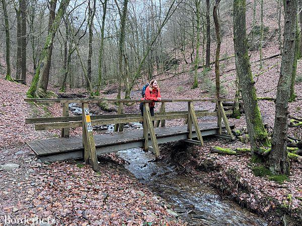 wandern im bergischen land mit hund