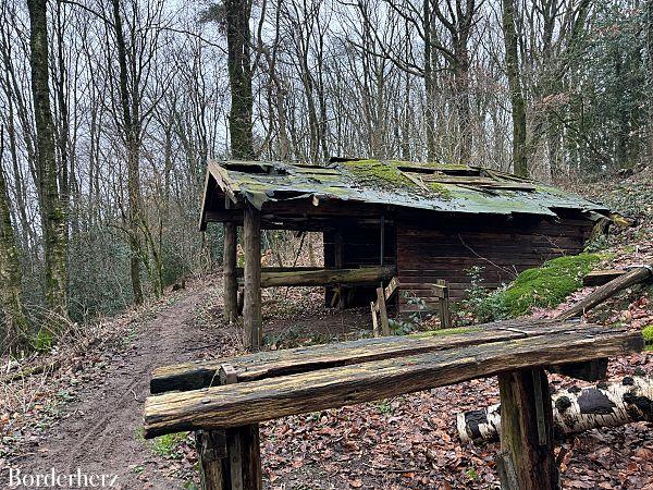 wandern im bergischen land mit hund