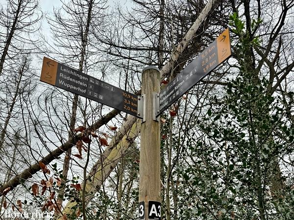 wandern mit hund im bergischen land