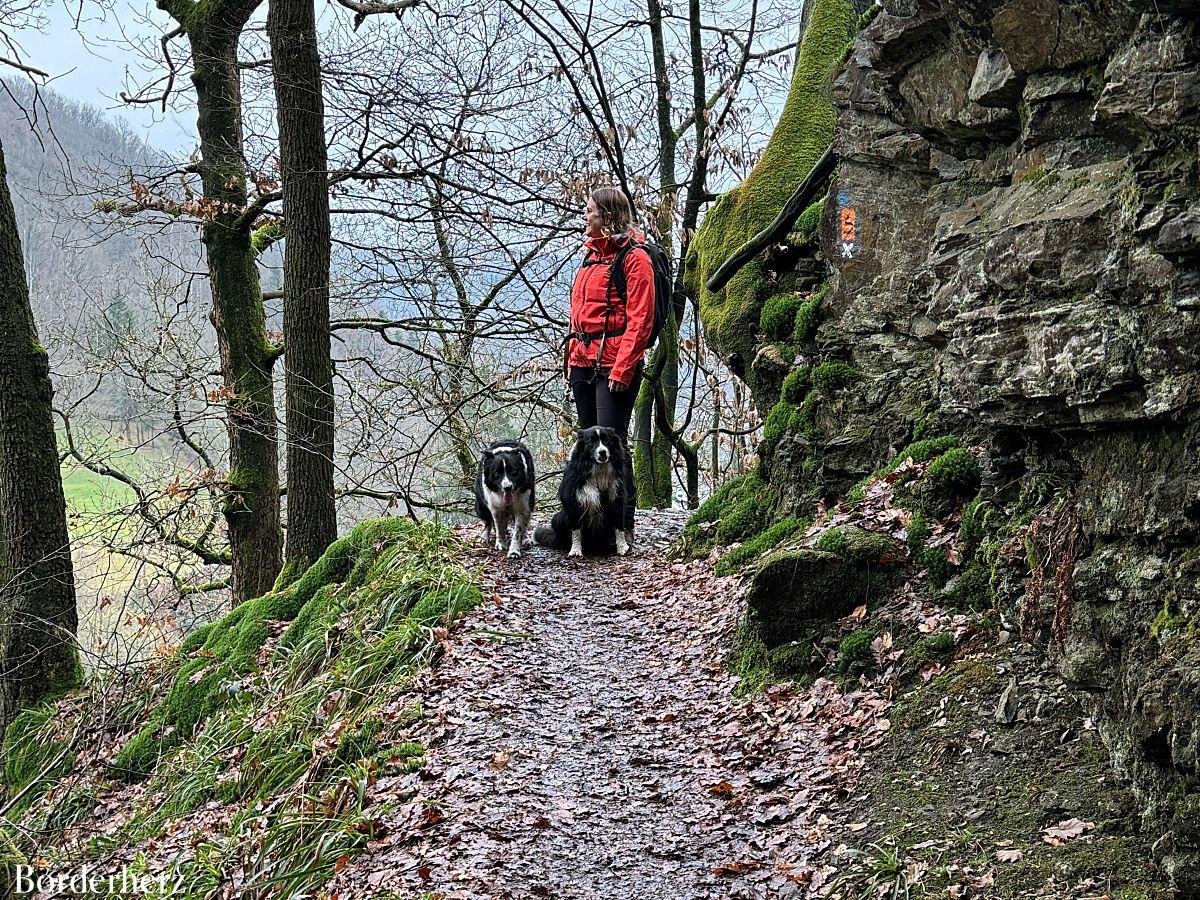 Wandern im Bergischen Land mit Hund