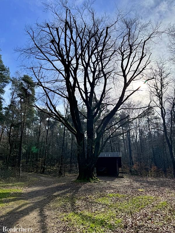 Landstreifer Dein Bett mit Aussicht