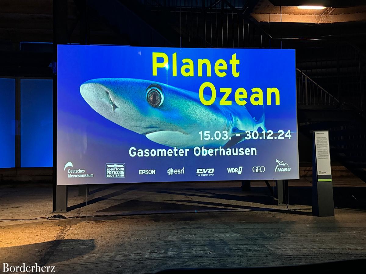 Planet Ozean: Ausstellung im Gasometer Oberhausen