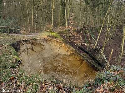 neanderland steig mit hund