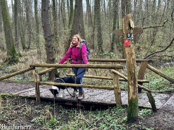 neanderland steig mit hund