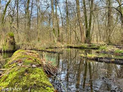 neanderland steig mit hund