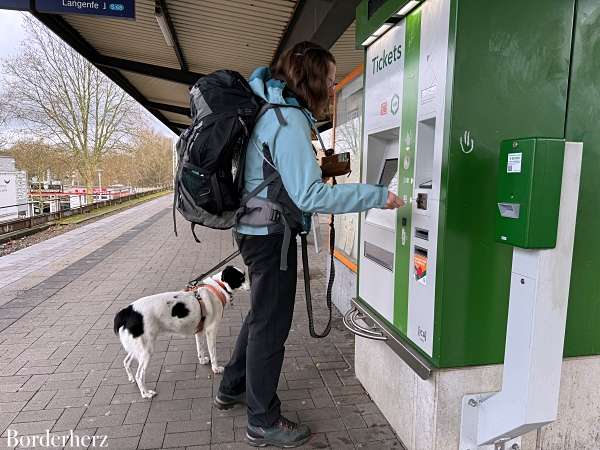 neanderland steig mit hund