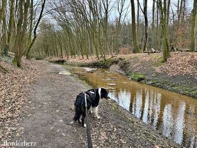 neanderlandsteig mit hund