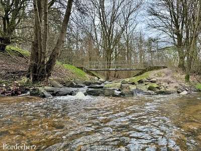 neanderlandsteig mit hund