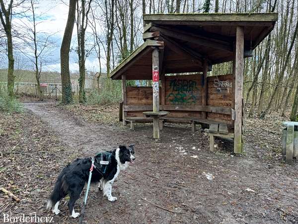 neanderland steig mit hund