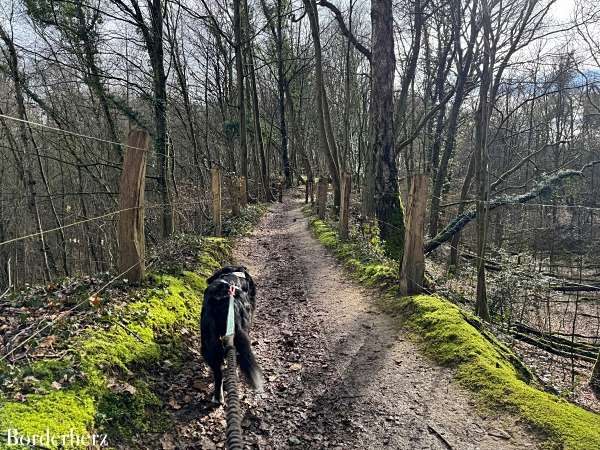 neanderland steig mit hund