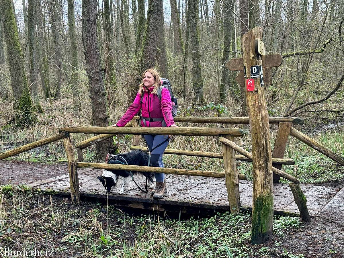 neanderland steig mit hund