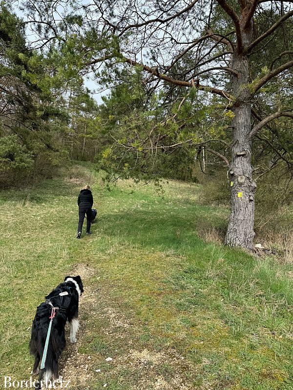 Wandern im Altmühltal