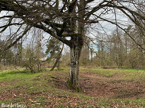 Wandern im Altmühltal