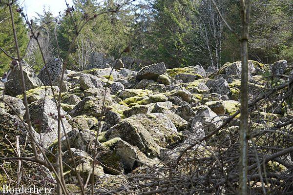 die schönsten wanderwege in der rhön