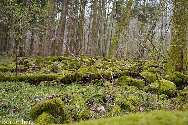 die schönsten wanderungen in der rhön