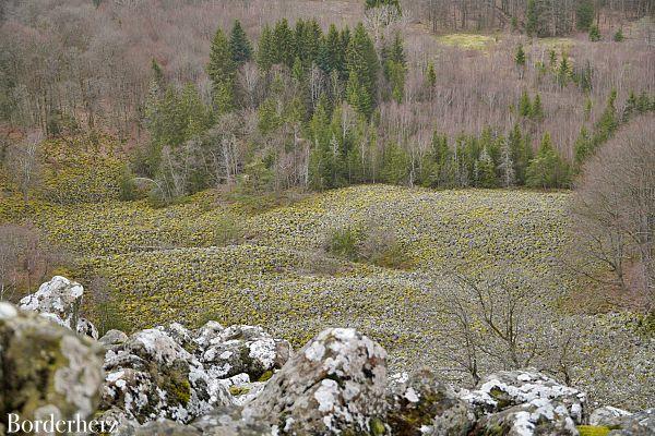 die schönsten wanderwege in der rhön