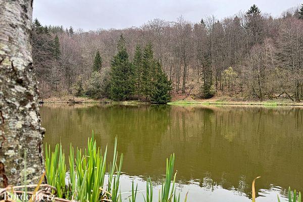 die schönsten wanderwege in der rhön