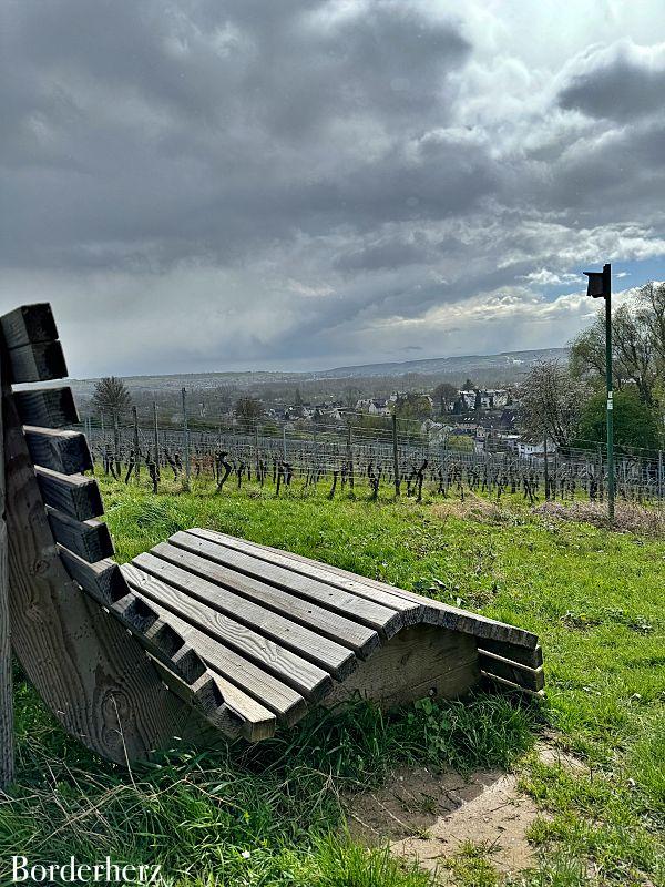 Wandern im Rheingau Rieslingschleife Kräuter und Blumen