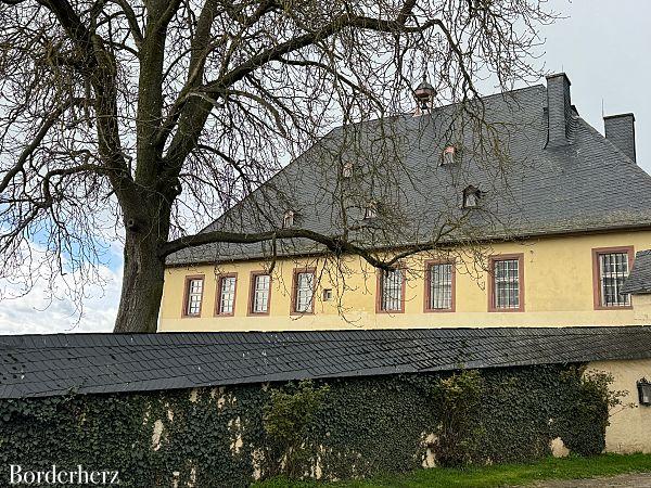 Wandern im Rheingau Rieslingschleife Kräuter und Blumen