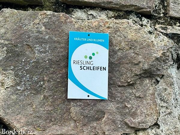 Wandern im Rheingau Rieslingschleife Kräuter und Blumen