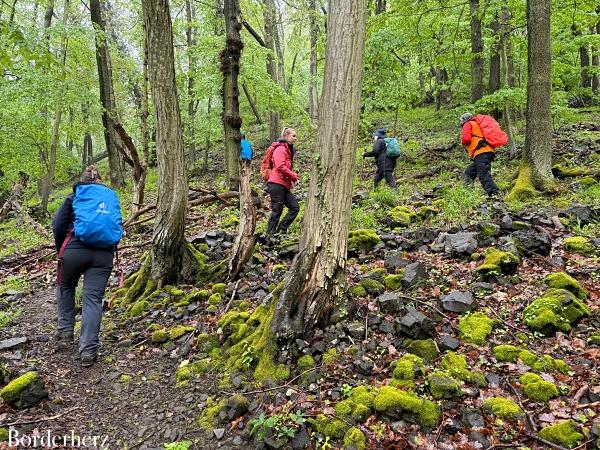 Wanderung Ahrsteig