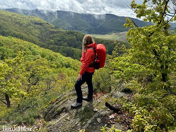 Ahrsteig wandern