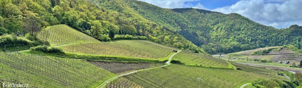 Rotweinwanderweg