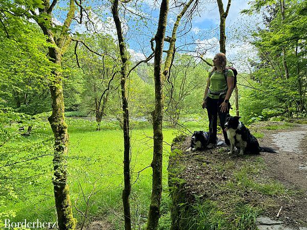 Ourtal mit Hund