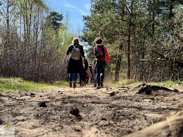 LandStreifer Die Berge – Wandertipp im Naturpark Hohe Mark