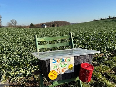 Geführte Wanderungen Ruhrgebiet & NRW 6 neanderland wanderwoche 01