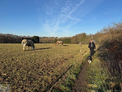 Geführte Wanderungen Ruhrgebiet & NRW 8 neanderland wanderwoche 03