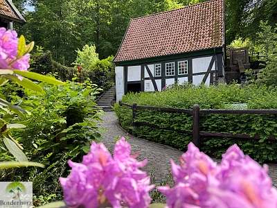 Wandern im Osnabrücker Land + Urlaubstipps für Bad Essen 22 wandern im osnabrücker land bad essen altstadt