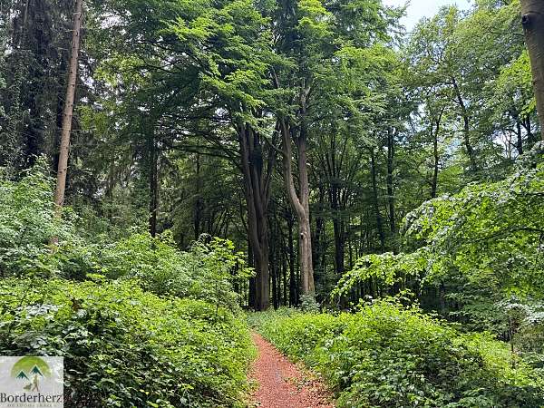 Wandern im Osnabrücker Land + Urlaubstipps für Bad Essen 17 wandern im osnabrücker land terra.track megalosaurus