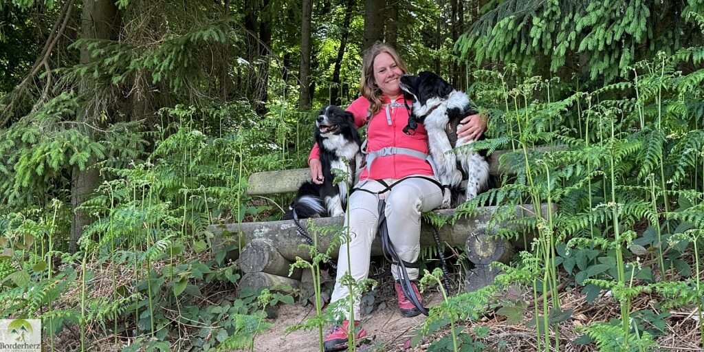 Wandern im Osnabrücker Land + Urlaubstipps für Bad Essen 15 osnabrucker land header 10