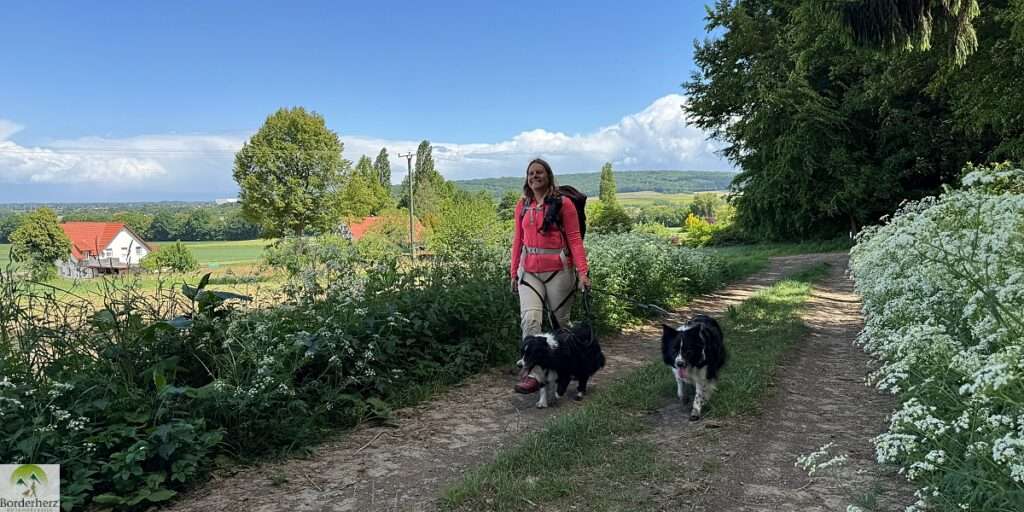 Wandern im Osnabrücker Land + Urlaubstipps für Bad Essen 1 wandern im osnabrücker megalosaurus