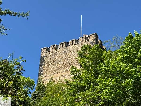2-Tage-Abenteuer: Wandern auf Rheinsteig und RheinBurgenWeg 6 rheinburgenweg etappe 3