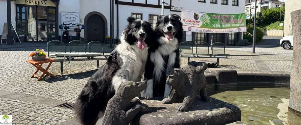 2-Tage-Abenteuer: Wandern auf Rheinsteig und RheinBurgenWeg 10 rheinburgenweg e3 02 header 2