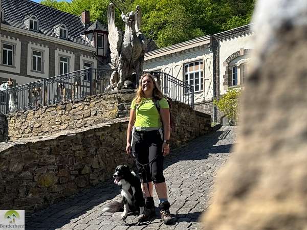 2-Tage-Abenteuer: Wandern auf Rheinsteig und RheinBurgenWeg 9 burg brohleck rheinburgenweg